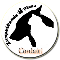 Contatti